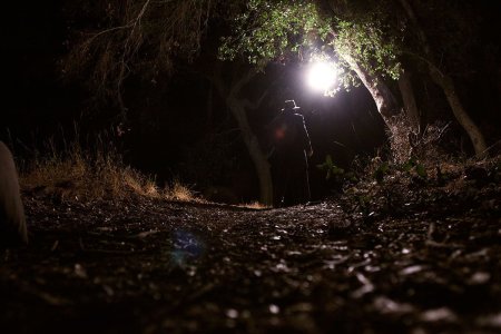 Digging-Up-the-Marrow-01